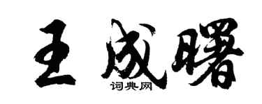 胡问遂王成曙行书个性签名怎么写