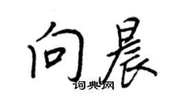 王正良向晨行书个性签名怎么写