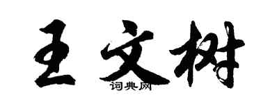 胡问遂王文树行书个性签名怎么写