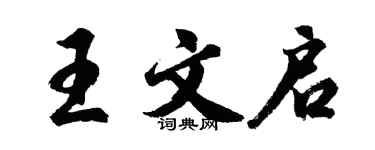 胡问遂王文启行书个性签名怎么写