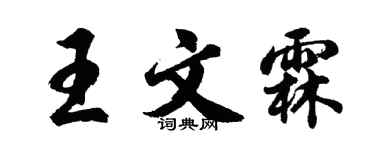 胡问遂王文霖行书个性签名怎么写
