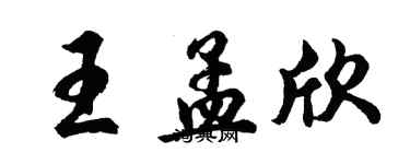 胡问遂王孟欣行书个性签名怎么写