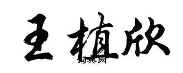 胡问遂王植欣行书个性签名怎么写