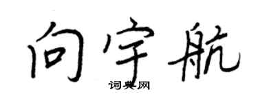 王正良向宇航行书个性签名怎么写