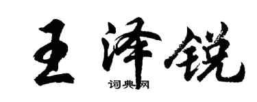 胡问遂王泽锐行书个性签名怎么写
