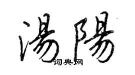 王正良汤阳行书个性签名怎么写