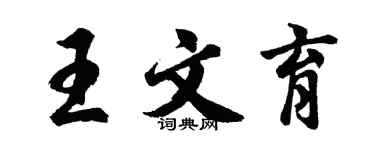 胡问遂王文育行书个性签名怎么写