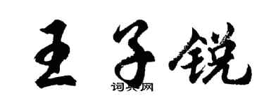 胡问遂王子锐行书个性签名怎么写