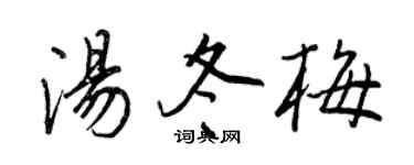 王正良汤冬梅行书个性签名怎么写