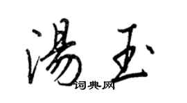 王正良汤玉行书个性签名怎么写