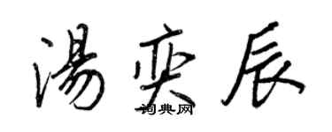 王正良汤奕辰行书个性签名怎么写