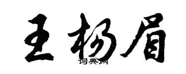 胡问遂王杨眉行书个性签名怎么写