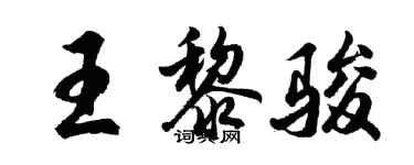 胡问遂王黎骏行书个性签名怎么写