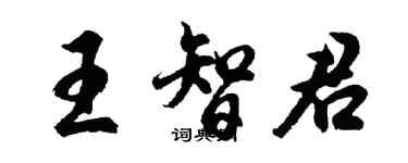 胡问遂王智君行书个性签名怎么写