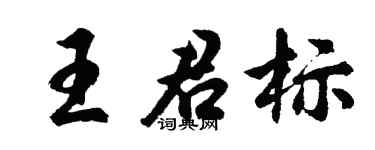 胡问遂王君标行书个性签名怎么写