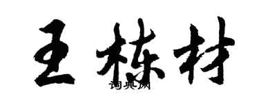 胡问遂王栋材行书个性签名怎么写