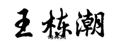 胡问遂王栋潮行书个性签名怎么写