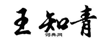 胡问遂王知青行书个性签名怎么写