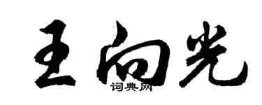 胡问遂王向光行书个性签名怎么写