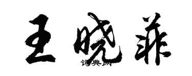 胡问遂王晓菲行书个性签名怎么写