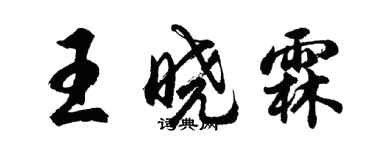 胡问遂王晓霖行书个性签名怎么写