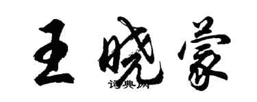 胡问遂王晓蒙行书个性签名怎么写