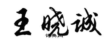 胡问遂王晓诚行书个性签名怎么写