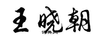 胡问遂王晓朝行书个性签名怎么写