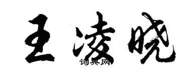 胡问遂王凌晓行书个性签名怎么写