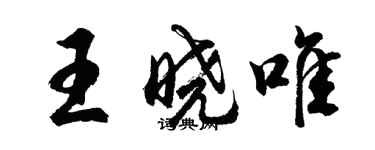 胡问遂王晓唯行书个性签名怎么写