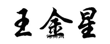 胡问遂王金星行书个性签名怎么写