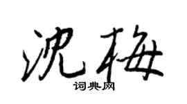 王正良沈梅行书个性签名怎么写
