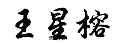 胡问遂王星榕行书个性签名怎么写