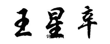 胡问遂王星辛行书个性签名怎么写