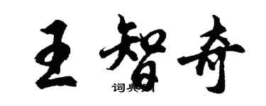 胡问遂王智奇行书个性签名怎么写