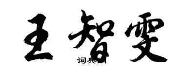 胡问遂王智雯行书个性签名怎么写