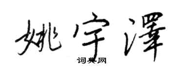 王正良姚宇泽行书个性签名怎么写