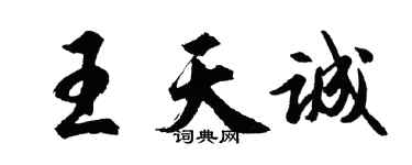 胡问遂王天诚行书个性签名怎么写