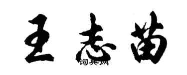 胡问遂王志苗行书个性签名怎么写