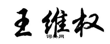 胡问遂王维权行书个性签名怎么写