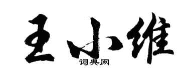 胡问遂王小维行书个性签名怎么写