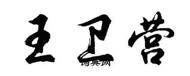 胡问遂王卫营行书个性签名怎么写