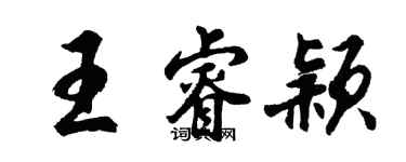 胡问遂王睿颖行书个性签名怎么写