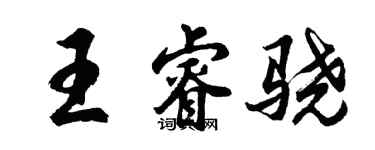 胡问遂王睿骁行书个性签名怎么写