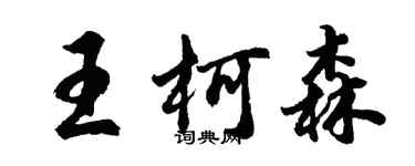 胡问遂王柯森行书个性签名怎么写