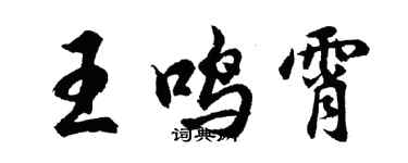 胡问遂王鸣霄行书个性签名怎么写