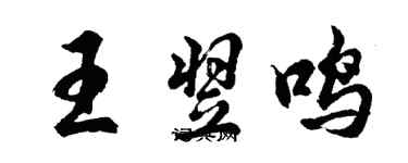 胡问遂王翌鸣行书个性签名怎么写