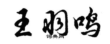 胡问遂王羽鸣行书个性签名怎么写