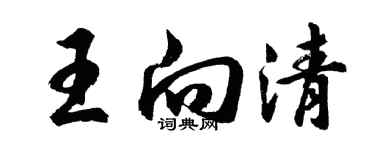 胡问遂王向清行书个性签名怎么写