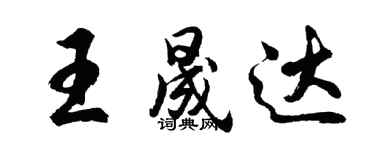 胡问遂王晟达行书个性签名怎么写